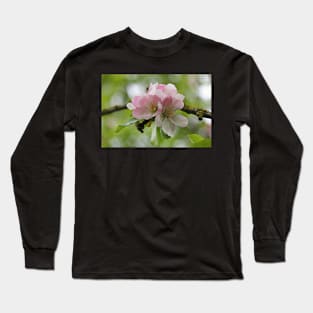 Apple Blossom Long Sleeve T-Shirt